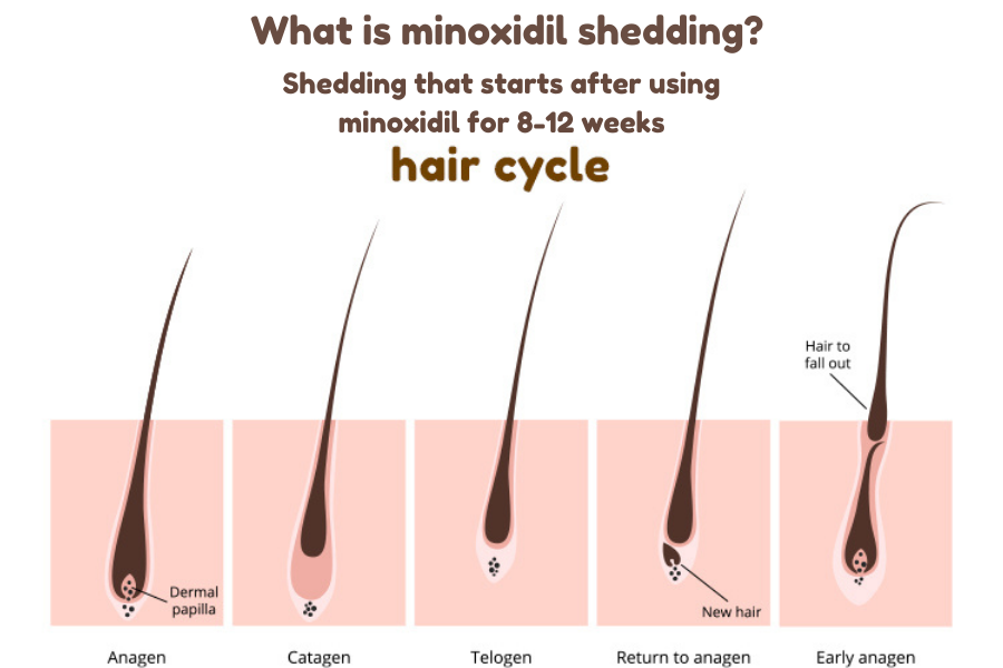 Rogaine Results Timeline rogaine-results-timeline
