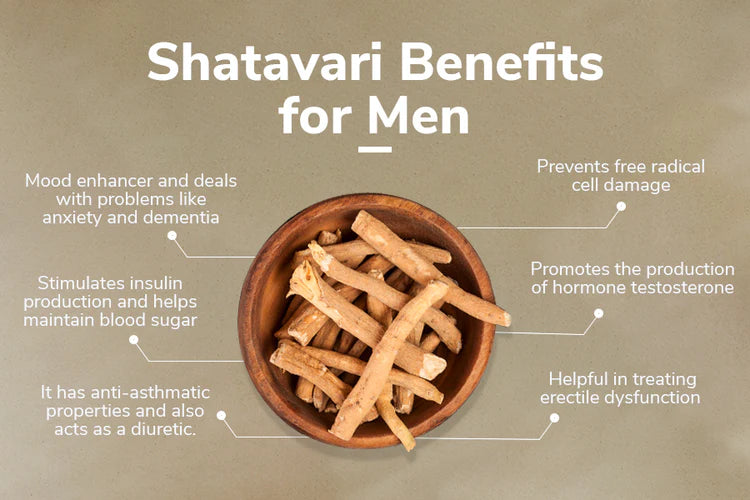 Shatavari for Men | Shatavari Benefits &amp; Uses | Traya Health