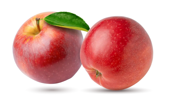 Nutrition Nutrition
