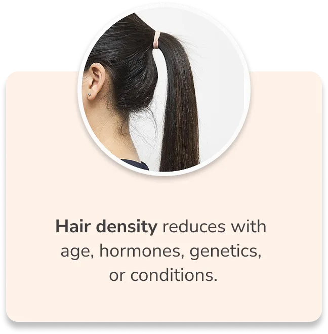 Products Slide