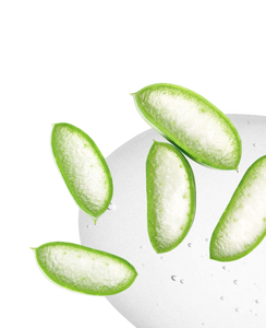 Ayurveda