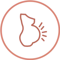 Pregnency Pregnency
