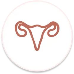 PCOS & Hormonal Imbalances PCOS & Hormonal Imbalances