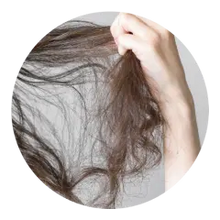 Texture Loss Texture Loss