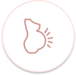 PCOS & Hormonal Imbalances PCOS & Hormonal Imbalances