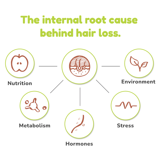 Customized Hair Fall Plans