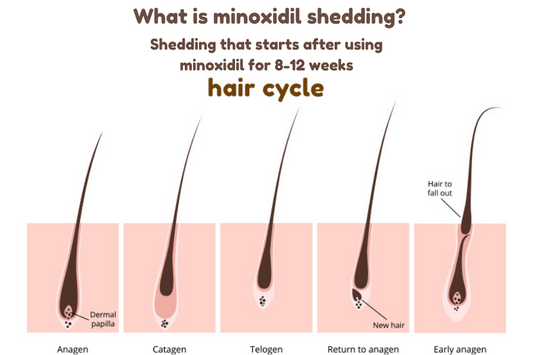 What is Minoxidil Shedding? A Know All Guide With Case Studies