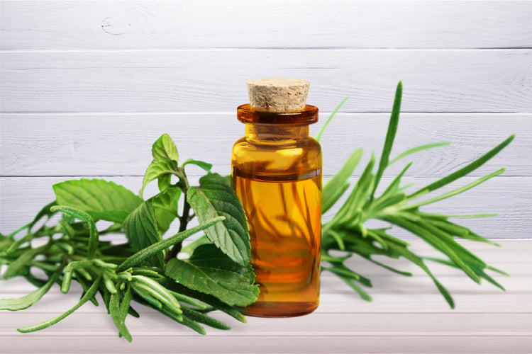 7 Benefits and Uses of Tea Tree Oil for Hair You Need to Know