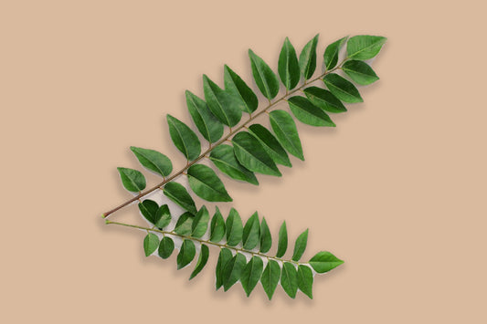 benefits of curry leaves for hair