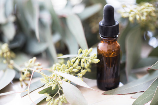 eucalyptus oil, ways to use and it's benefits for skin and hair