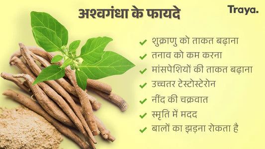 ashwagandha benefits men