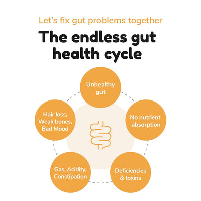 Gut Health and Hair Loss: A Detailed Guide for Beginners