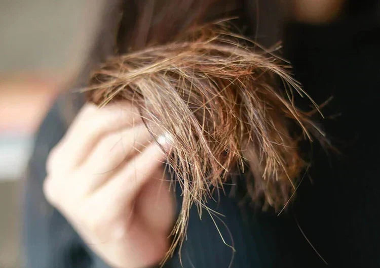 दो मुहें बाल कैसे हटाएं - जानें दो मुहें बाल हटाने के असरदार घरेलु नुस्खे