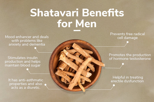 Shatavari benefits for men Traya 