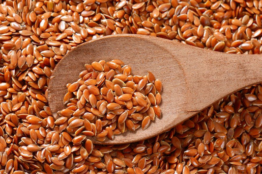 पुरुषों के लिए अलसी के फायदे | Flaxseed benefits for men | alsi ke bij ki photoin Hindi Info