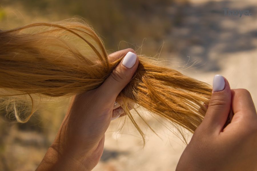 Hair-care tips: Do not do these 5 mistakes with wet hair know everything -  Hair Care Tips: गीले बालों के साथ भूलकर भी ना करें ये 5 गलतियां ,  लाइफस्टाइल न्यूज