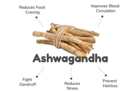 Understand the Most Crucial Benefits of Ashwagandha