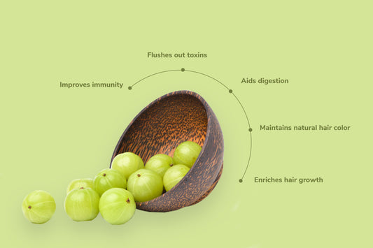 benefits of amla seeds and how it works for hair
