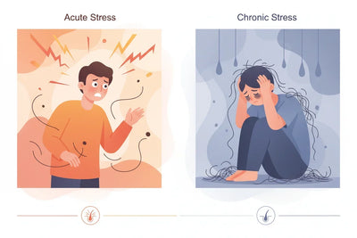Acute stress events vs chronic stress hair loss