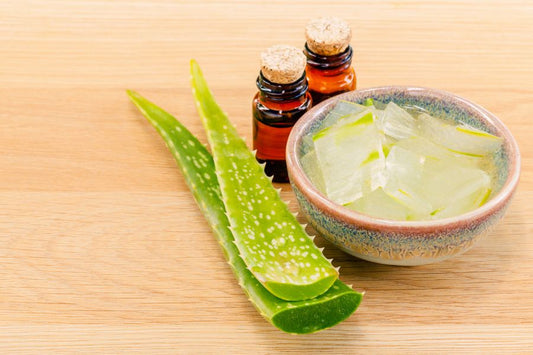 Is The Use Of Aloe Vera Good For Men's Hair?