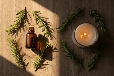Best Time to Apply Rosemary Oil: Morning or Night?