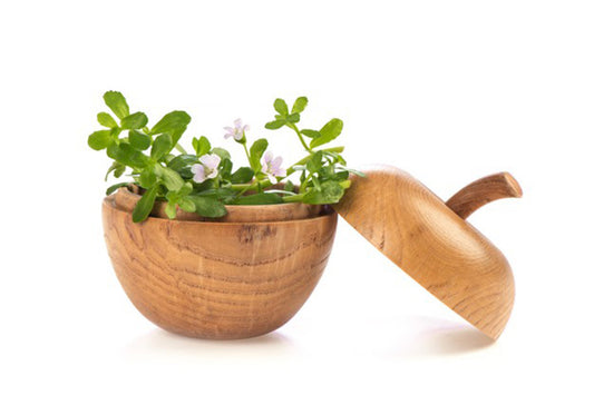 Brahmi (Bacopa) And Its Excellent Health Benefits