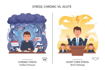 Chronic stress: Hair loss mechanisms, types, and recovery roadmap