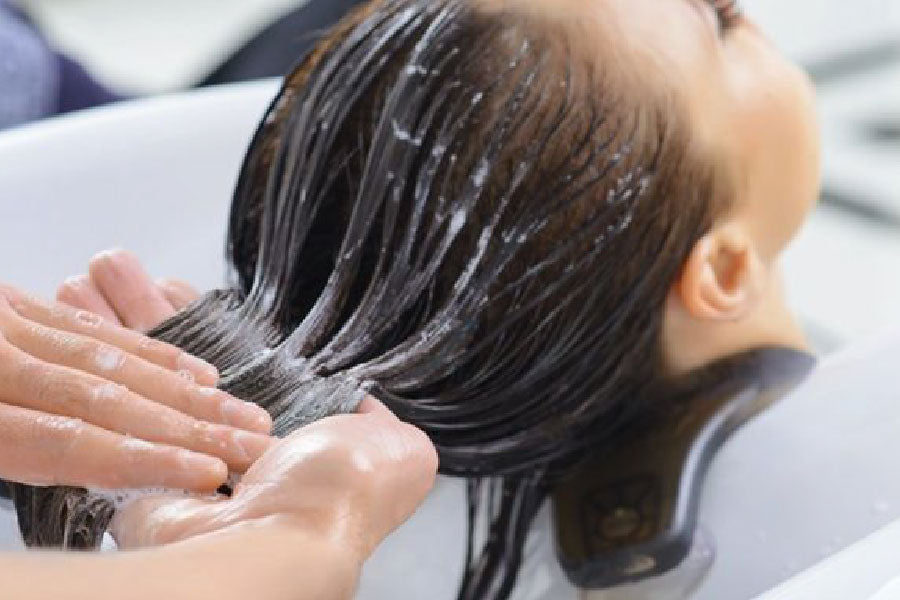 Hair Follicle - Uses, Issues & Treatment for Hair Growth – Traya