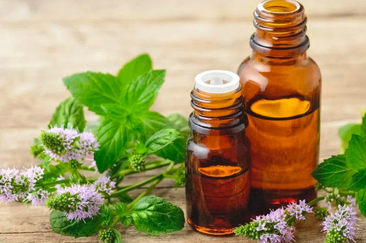 Peppermint Oil For Hair Growth, uses, benefits, side effects
