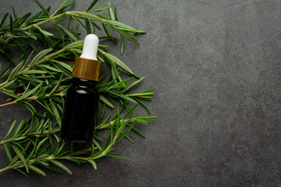 How Safe Is Rosemary Oil Overnight? Benefits, Risks