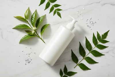 Shampoo Routine for Dandruff-Prone Scalp