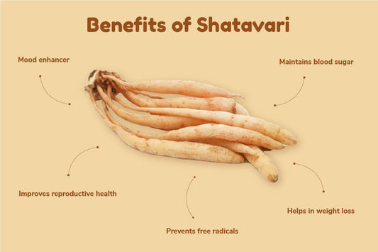 Excellent Benefits Of ‘Queen Of Herbs’ Shatavari