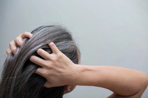 How to prevent white hair, delay greying and hair loss due to scalp aging?