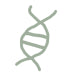 Genetics
