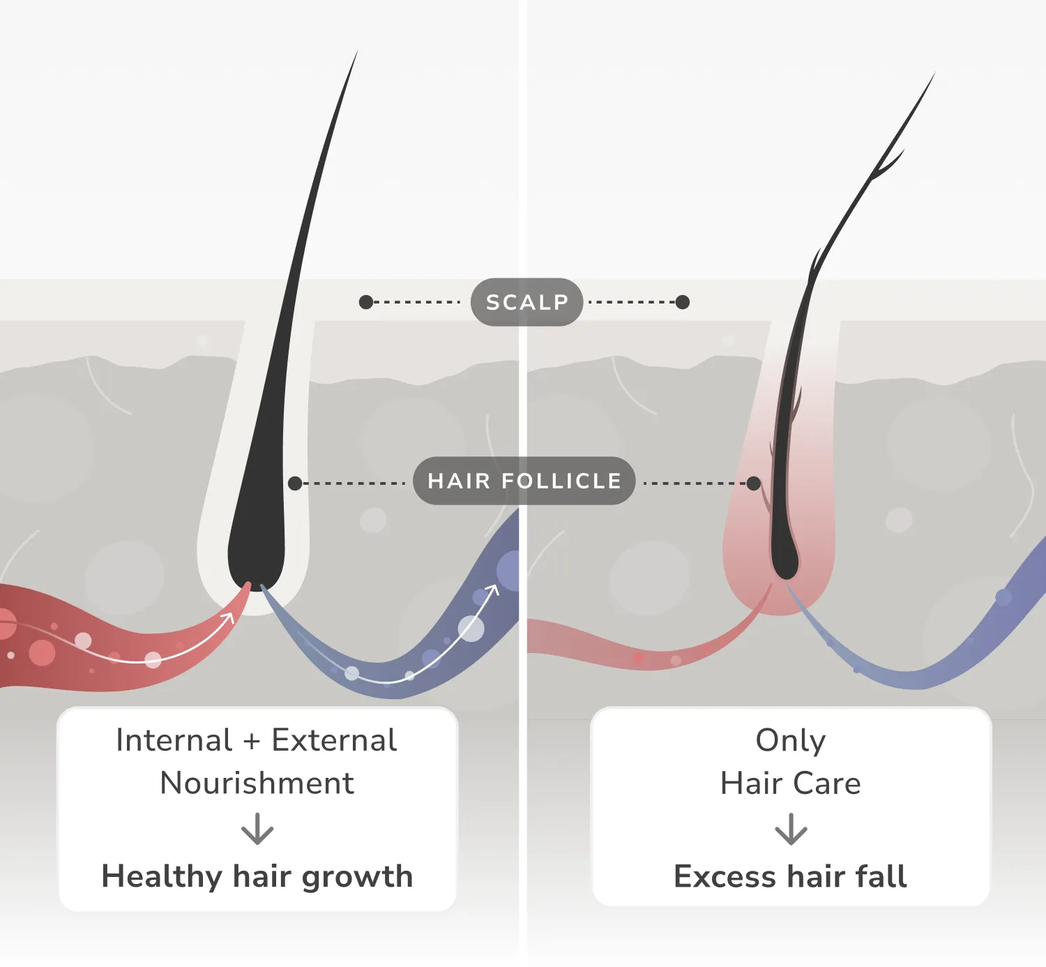 Hair fall illustration