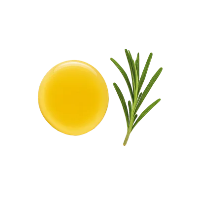 Rosemary Extract